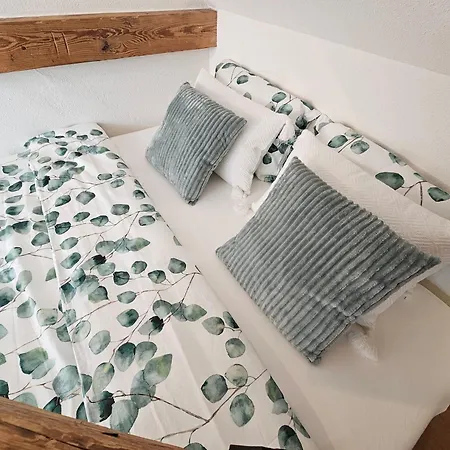 Premium - & Historical Apartment