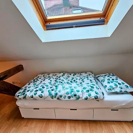 Premium - & Historical Apartment Meiringen