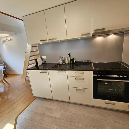 Premium - & Historical Apartment Meiringen