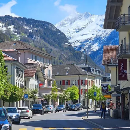 Apartment Premium - & Historical Meiringen