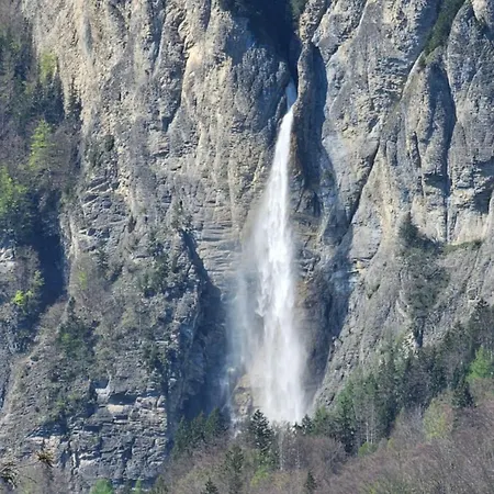 Premium - & Historical Apartmán Meiringen