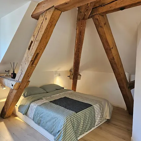 Premium - & Historical Daire Meiringen