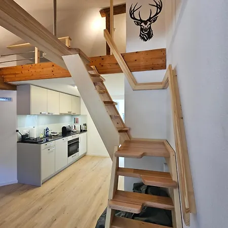 Premium - & Historical Daire Meiringen