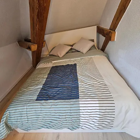 Premium - & Historical Daire *