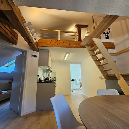 Premium - & Historical Apartment Meiringen