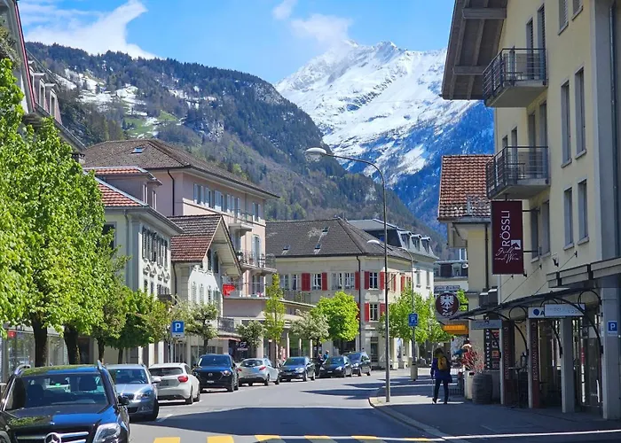 Appartement Premium - & Historical Meiringen