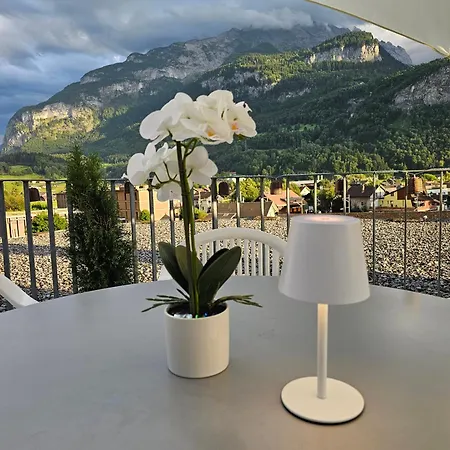 Premium - & Historical Apartment Meiringen
